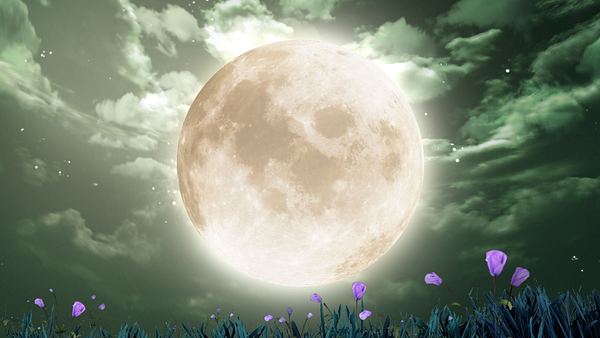 Strahlender Vollmond am Nachthimmel - Foto: ifc2 / iStock